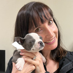 Managing the Complex Health Needs of Brachycephalic Dogs with Dr. Carol Reinero
