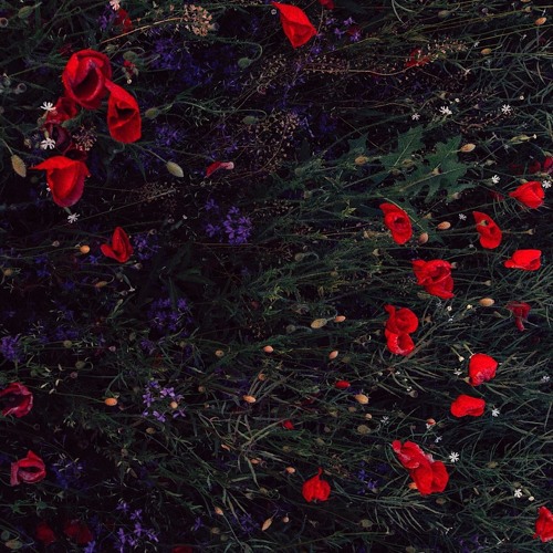 Stream genie | Listen to 🖤 playlist online for free on SoundCloud
