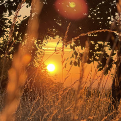 SPACE - live - Session17_9 - SARAH, FRANK, SENGA MARIA & MERLIN, FRANZ