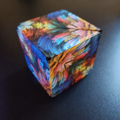 ZOOM0017