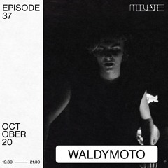 Modulate 37 | Waldymoto