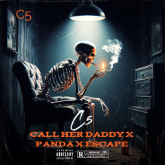 CALL HER DADDY X PANDA X NO FRIENDS (C5 MASHUP)
