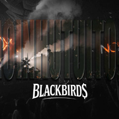 STARSHIP BAILE - BLACKBIRD$ EDIT