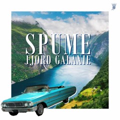 SPUME -  Fjord Galaxie (King Pong dub)
