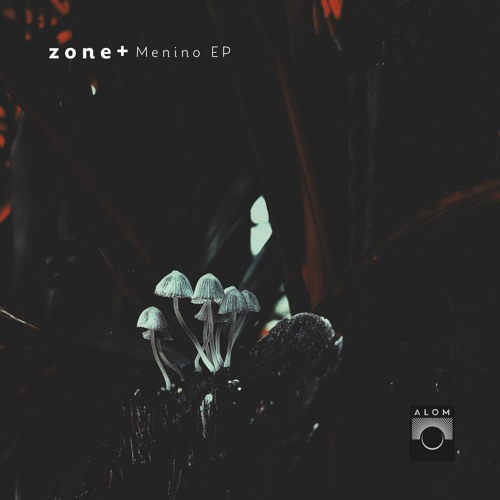 Zone+ - Menino (Original Mix)