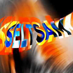 seltsam (prod. 7ventus x maestrowons)