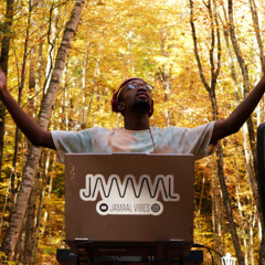 Afro House / Tech / 3-Step DJ Set Live Mix 2024 (Da Capo, Shimza, Dlala Thukzin) | JAMAAL VIBES