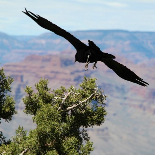 DJ TK - 4th Mix 2010 (Master)【Wing Makers Opening Party Opening Dj Set】