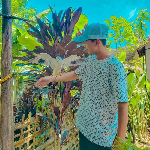 Rằng Em Mãi Ở Bên Remix - Nguyễn Hoàng Mix
