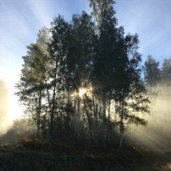 Finding a place of Rest - Part 5