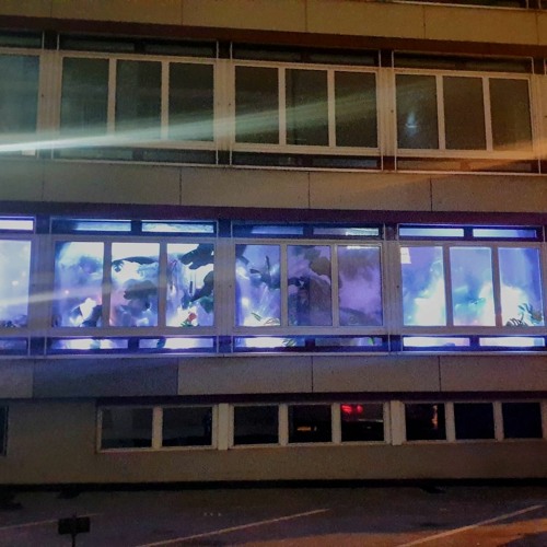 Tandaradei 20.11.21 w/ Franz & Alban