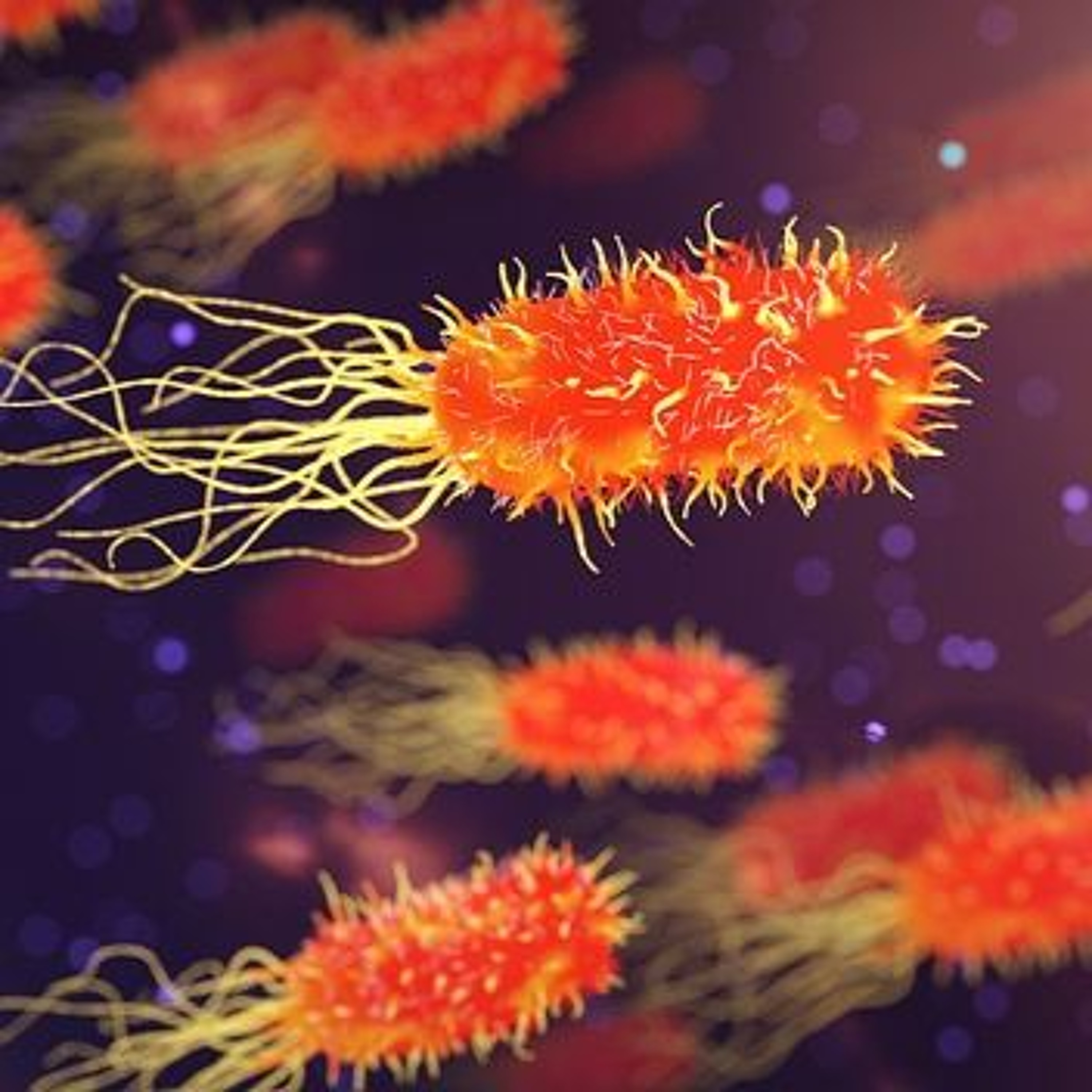 A Disease Without A Cure - The Jay Shapiro Show