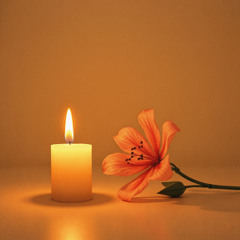 New Flame, Old Fire