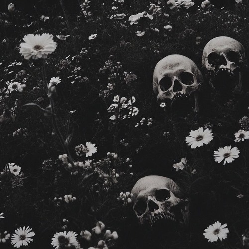 Own Appeal - Oddisee Remix - 98bpm