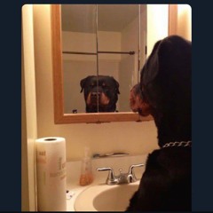 Mac'swamp - fake foes freestyle! (free for profit) prod. chief keef x ian Bvtman .m4a