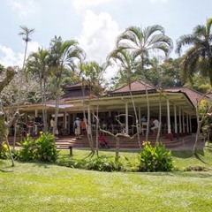 Bali, September 2018, Birds 2