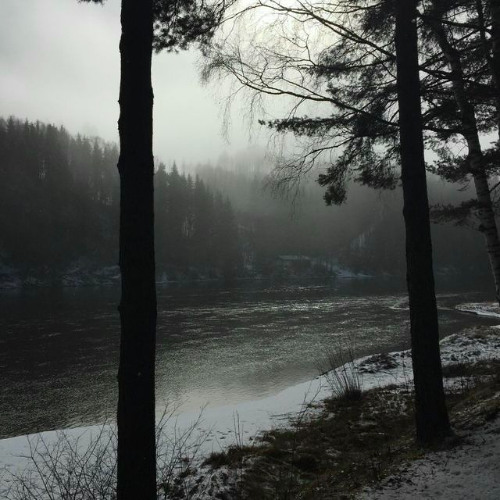 !free for profit! redda x jvcxb x yetii