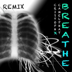 Camelphat - Breathe (Karam Remix)