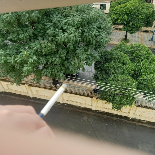 Nhạc lụm trên tiktokk