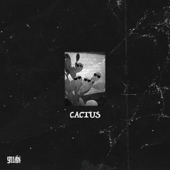 CACTUS [FREE DOWNLOAD]