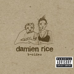 Stream The Box by Damien Rice | Listen online for free on SoundCloud