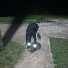 Go!(prod.feppa)(2022)