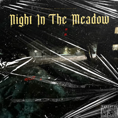 Night in the Meadow(ft Phoenix Ashby-RanchGod