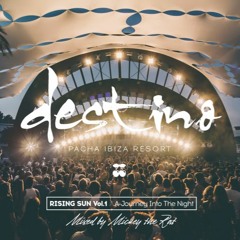 Destino Ibiza 2XCD—Disc 2