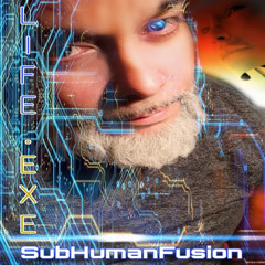 Embodiment