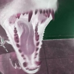 Demiglos