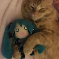 SHOWDOWN ~ w/lyteee (bina)