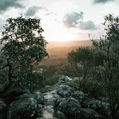 i really like you alot