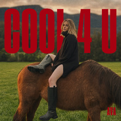 Cool for You Master 44.1kHz 24-bit (1)