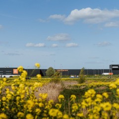 Audiofragment: Van stinkende huiden tot Van Haren