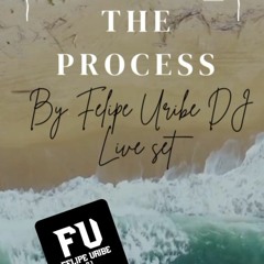 THE PROCESS BY FELIPE URIBE DJ