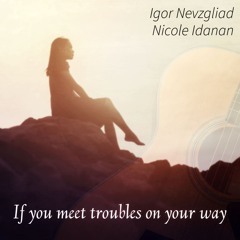 If you meet troubles on your way