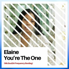 Elaine - You're The One (MicSoulSA Frequency Remix)