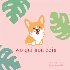 Wo Qui Non Coin