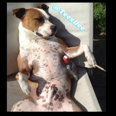 Swagger Volume 26 - Track 18