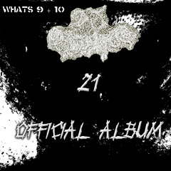 21 (THE OFFICIAL ALBUM CONTINUOUS MIX W/STEREO)