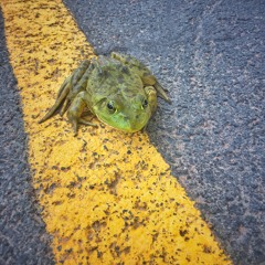 Cars Really Suck [7]