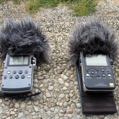 Sony PCM D100 vs D50 (Alarm siren rehearsal day 11.09.2025)