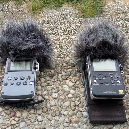 Sony PCM D100 vs D50 (Alarm siren rehearsal day 11.09.2025)