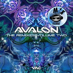 Avalon - Distant Futures (Spinal Fusion & M'x Remix)