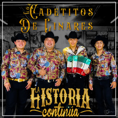 Entre Hierva, Polvo y Plomo (En Vivo)