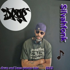 DROP! Festival 20-09 2025  Drum'N'Bass & Jungle Promo Mix By