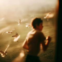 Lost in the garden - Seji