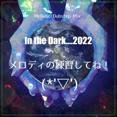Musical instrument practice♪'In the Dark...2022' (BPM 142)
