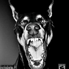 Do It Myself (two 4's like twan) - Santeri (prd.HOMEYP)