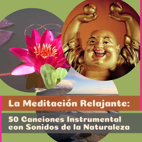 50 Música Relajante Zen: Música de Ambiente para Yoga y Pensamiento  Positivo, Canciones de Curación para la Meditación, Sueño y Bienestar -  Academia de Música de Yoga Pilates